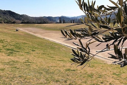 Skip the Lines Olympia and Free Olive Oil Tasting Tour