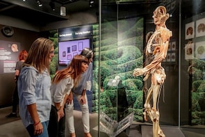 Biglietti "salta la fila" alla mostra BODY WORLDS Amsterdam