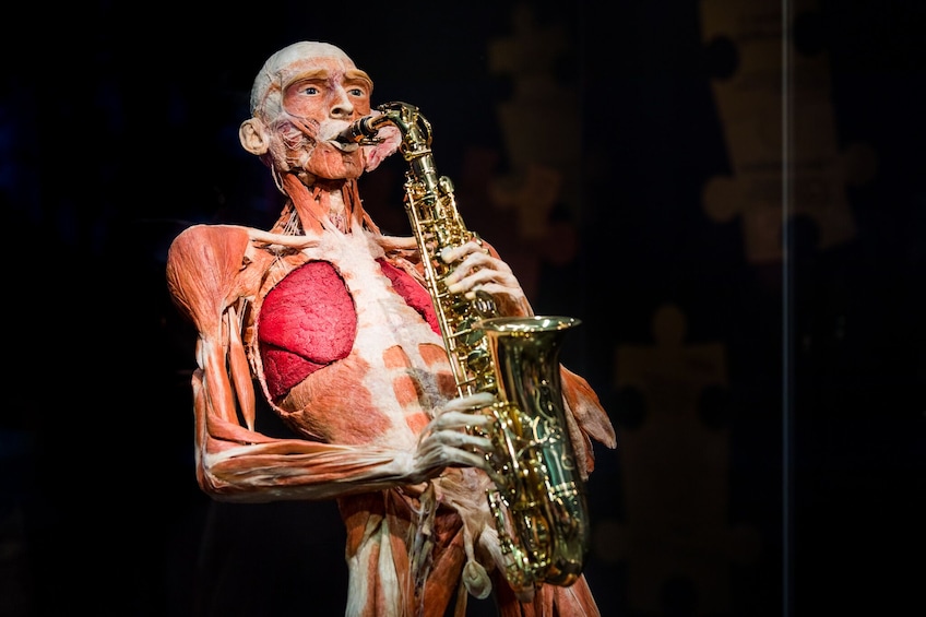 Skip-the-Line BODY WORLDS Amsterdam Tickets
