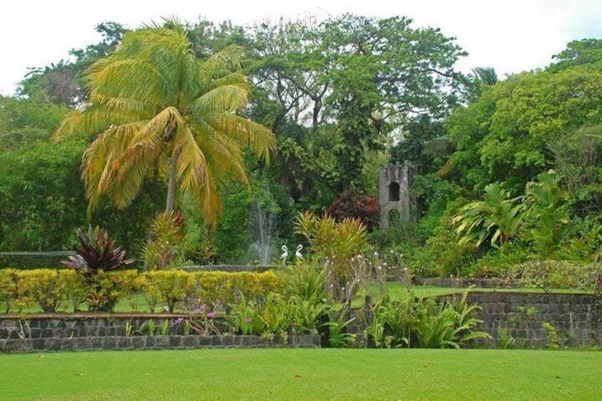 Gardens on st.kitts