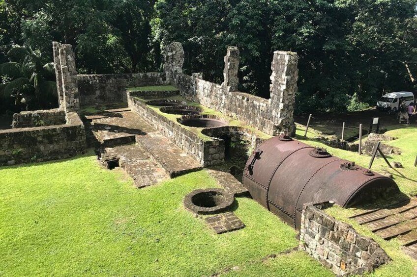 Panoramic Sightseeing Tour of St Kitts