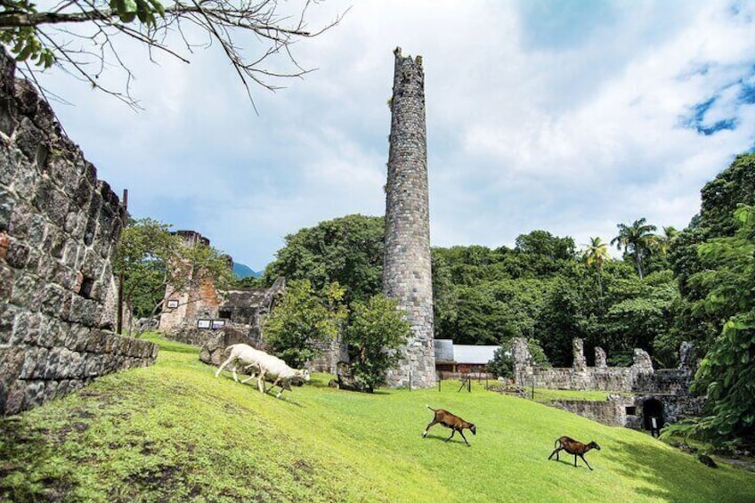 17th century sugar plantation