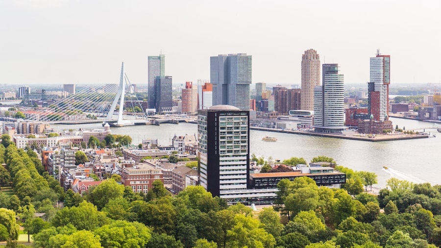 Rotterdam, Delft & The Hague Full-Day Tour from Amsterdam