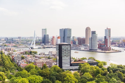 Visite d'une journée complète de Rotterdam, Delft et La Haye au départ d'Am...