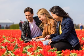 Carregar foto 1 de 10. Skip-the-Line Guided Tour: Keukenhof Gardens & Tulip Farm