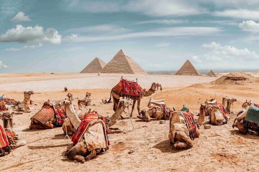 Day Trip To Cairo From Sharm El Sheikh By Plane
