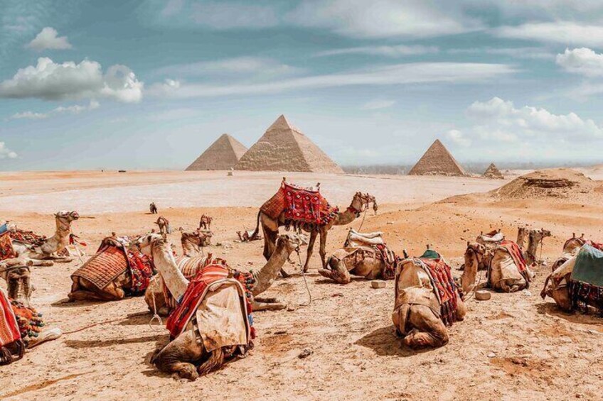 Day Trip To Cairo From Sharm El Sheikh By Plane
