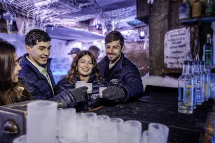 Biglietti per l'XtraCold Icebar di Amsterdam con bevande