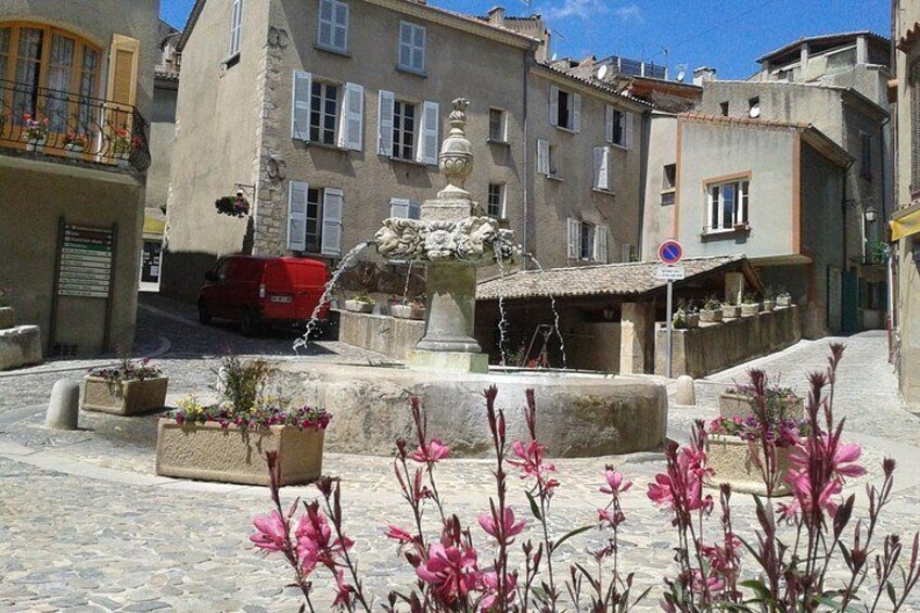 Marseille Shore Excursion: Shared Lavender Tour