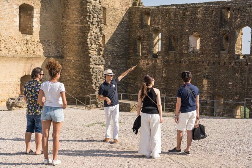 Small Group Marseille Shore Excursion : Avignon & Chateauneuf du Pape Wine Tour