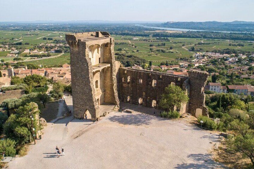 Small Group Marseille Shore Excursion : Avignon & Chateauneuf du Pape Wine Tour