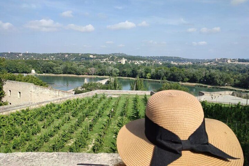 Small Group Marseille Shore Excursion : Avignon & Chateauneuf du Pape Wine Tour