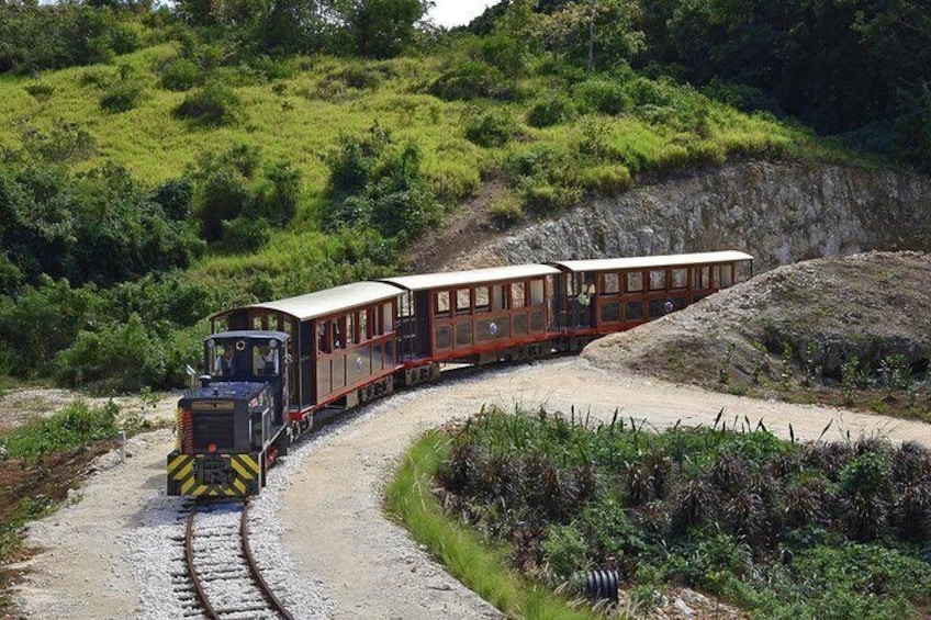 St. Nicholas Abbey Train