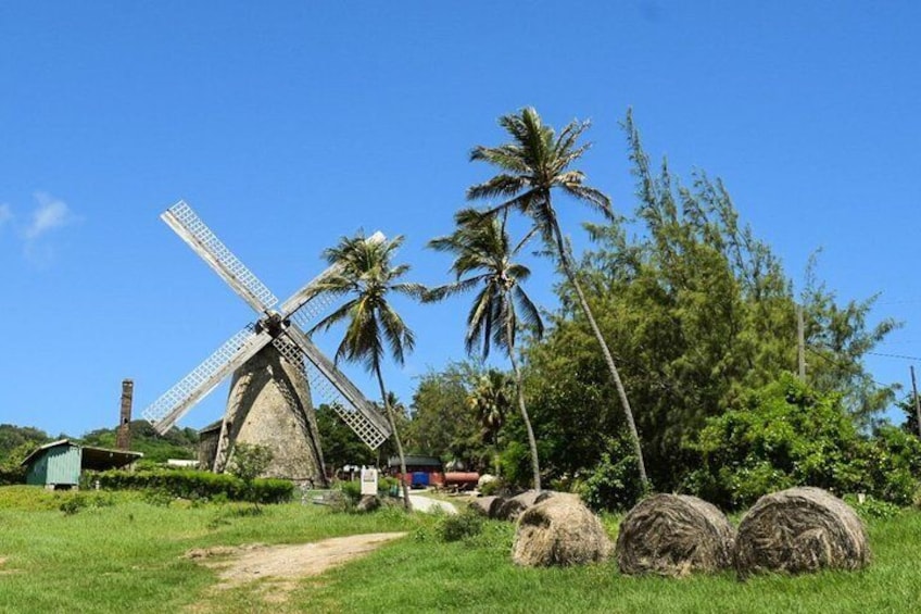 Morgan Lewis Windmill