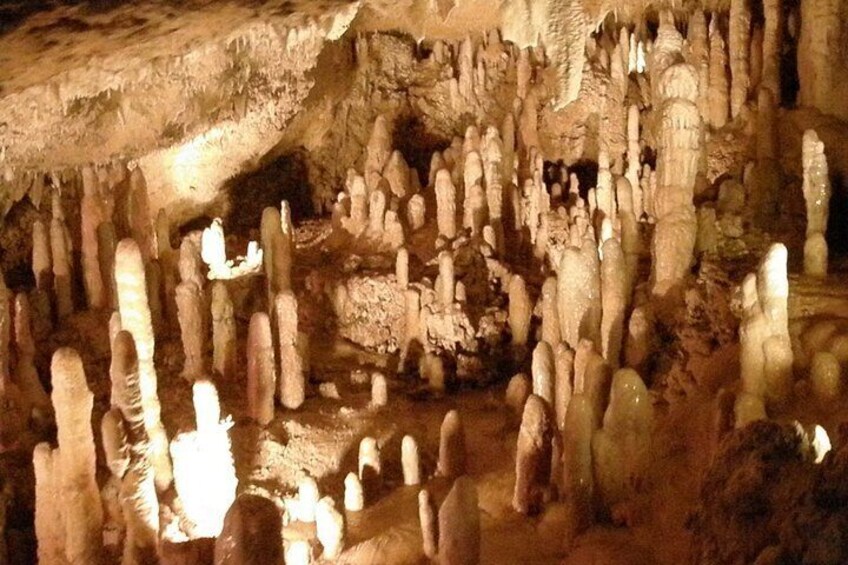 Harrisons Cave