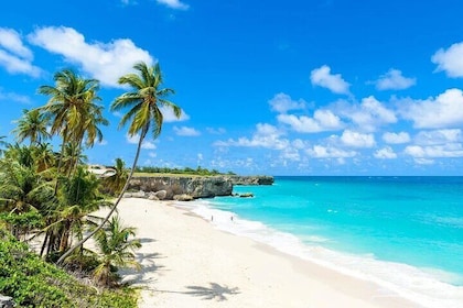 Vacker kysttur på Barbados