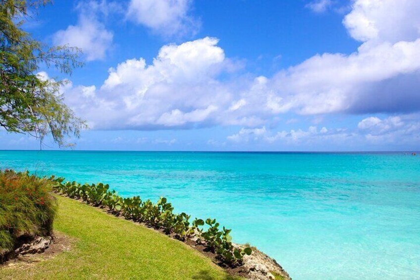 Beautiful Coastal Sightseeing Tour of Barbados