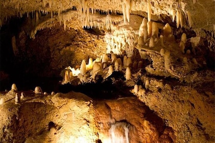 美麗的巴巴多斯：包括交通哈里森洞穴之旅