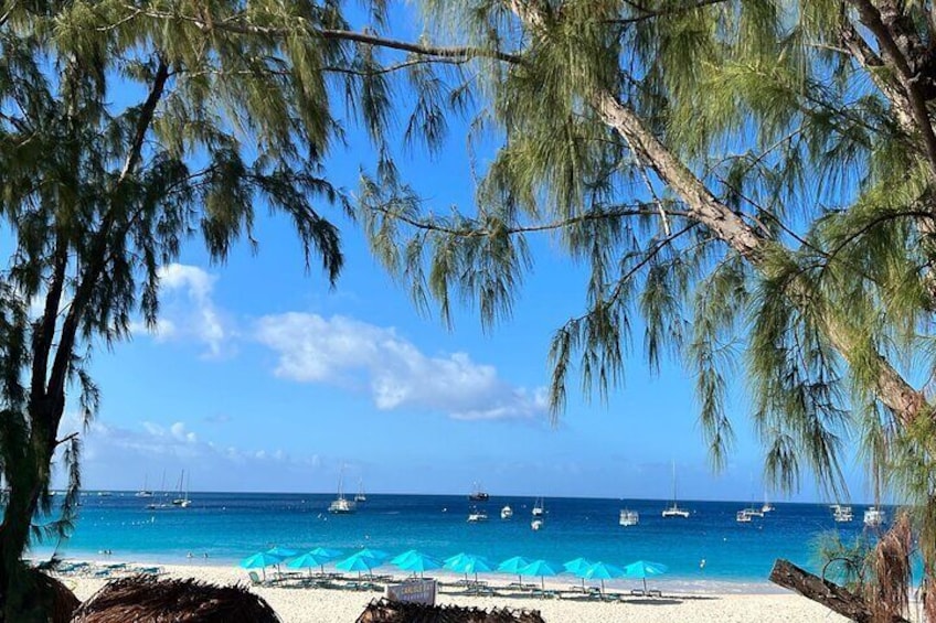 Barbados Excursion Snorkel Cruise and Beach Day on Carlisle Bay