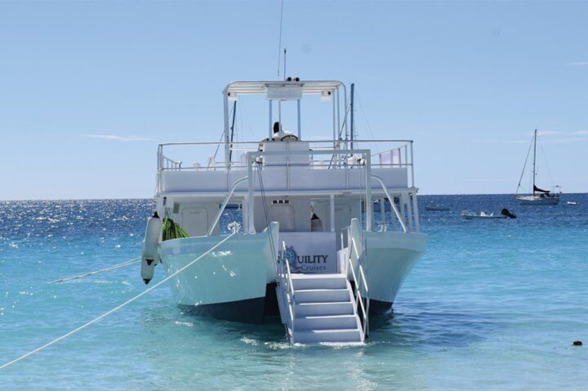 Tranquility Cruises