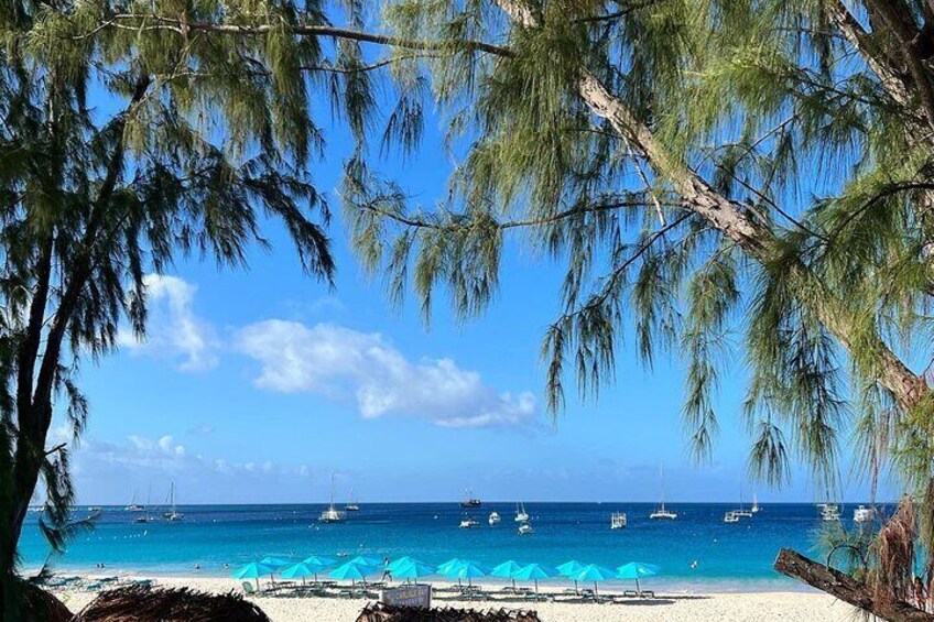 Barbados Shore Excursion Barbados Paradise Sightseeing Tour 