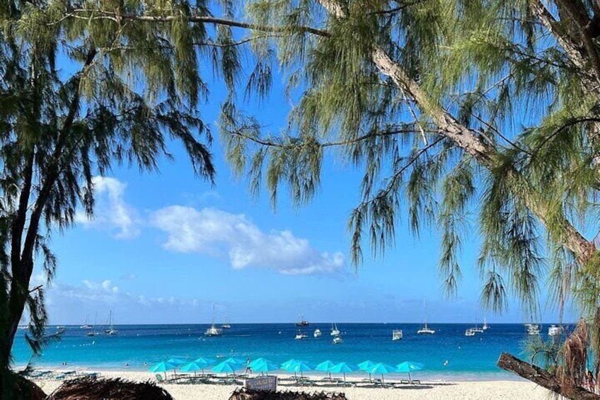 Barbados Shore Excursion Barbados Paradise Sightseeing Tour