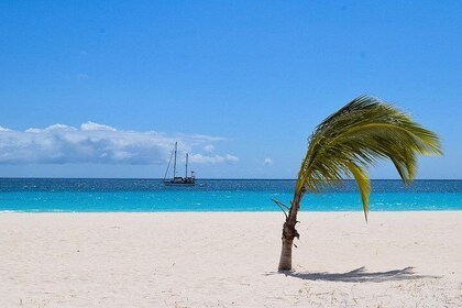 巴巴多斯海岸遊覽巴巴多斯天堂觀光旅遊