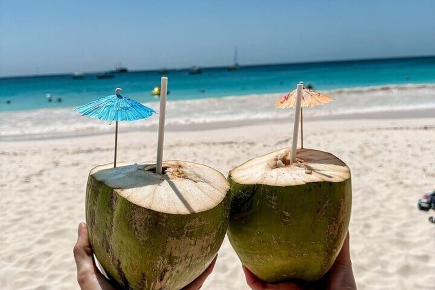 Savvy on the Bay Coconuts Barbados