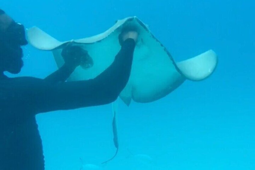 Barbados Glass Bottom Boat Shipwreck Adventure and Beach Day