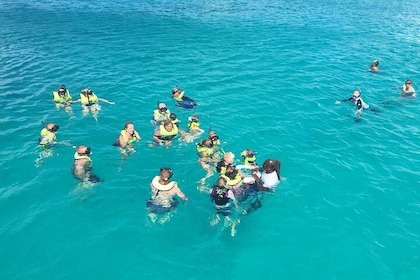 巴巴多斯海龜和沈船浮潛冒險