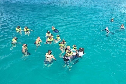 Aventure en bateau à fond vitré à la Barbade