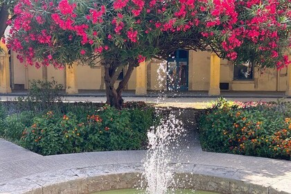 Exploring Provence : Arles, Les Baux and St-Rémy de Provence tour