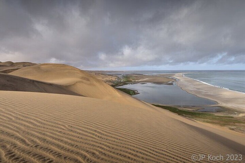 Sandwich Harbour Half-Day 4x4 Tour (5 hours) from Walvis Bay