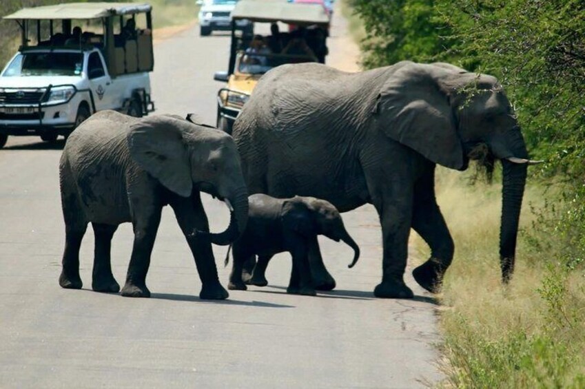 Kruger National Park