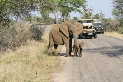4 Days - Best of Johannesburg with Kruger 2 Days Safari
