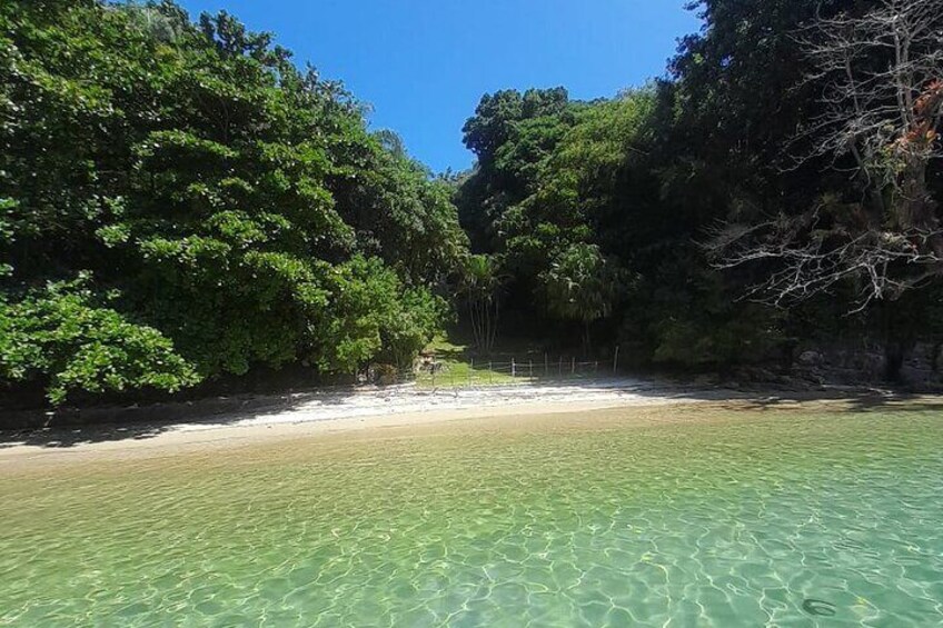 Wild beach heaven 