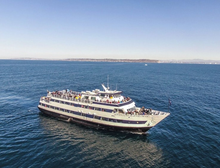 San Diego Whale & Dolphin Watching Adventure