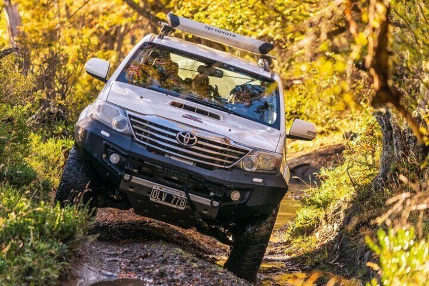 Lakes District 4x4 Full-Day Tour with Lunch from Ushuaia