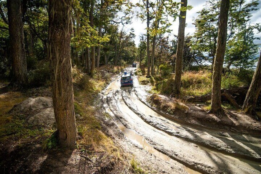 Lakes District 4x4 Full-Day Tour with Lunch from Ushuaia
