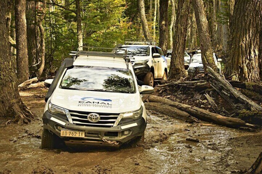 Lakes District 4x4 Full-Day Tour with Lunch from Ushuaia