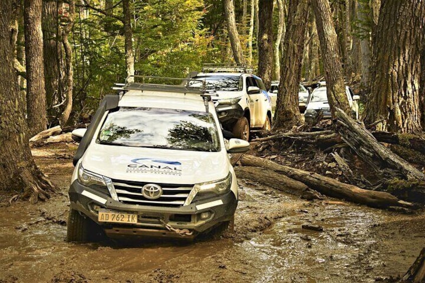 Lakes District 4x4 Full-Day Tour with Lunch from Ushuaia
