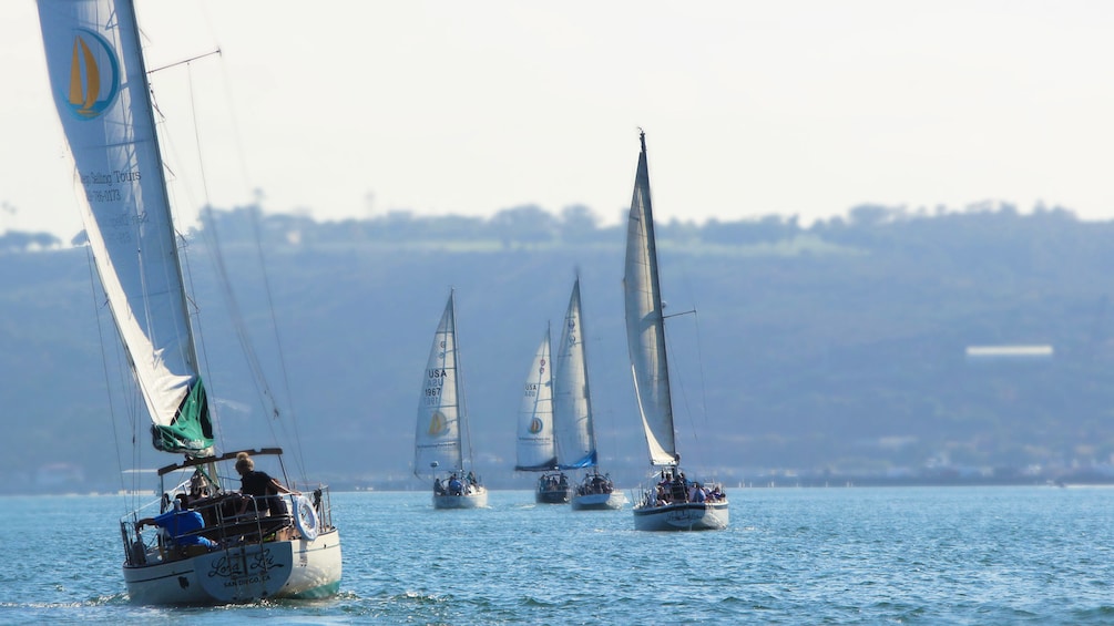 Group of sailboats catching wind in bay of San Diego
