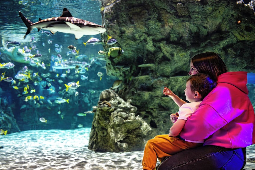 LEGOLAND® California Resort