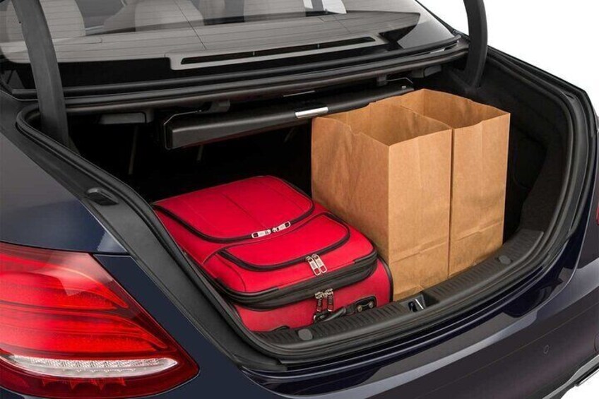 Riga-Latvia by Yourself with English Chauffeur - Business Car