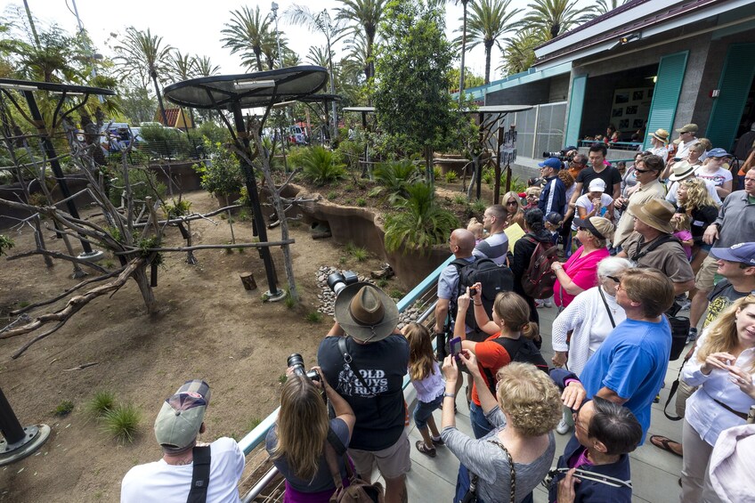 San Diego Zoo 