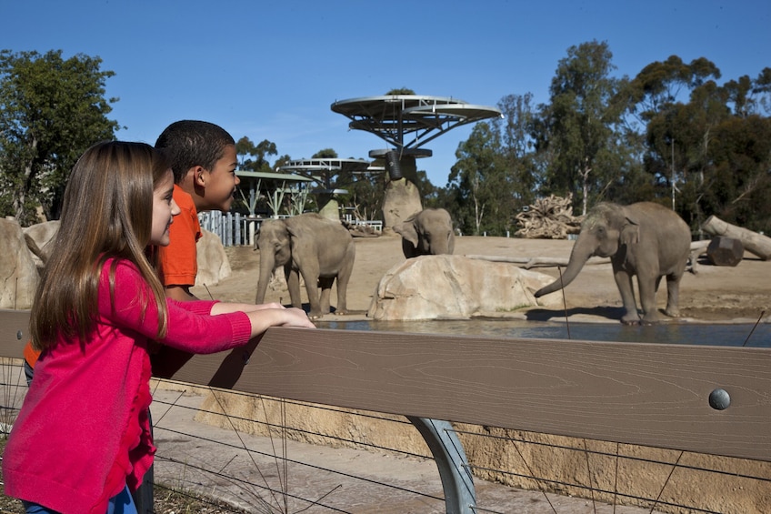 San Diego Zoo 