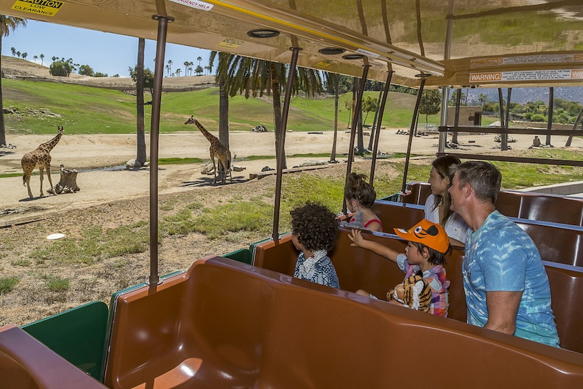 San Diego Zoo Safari Park 