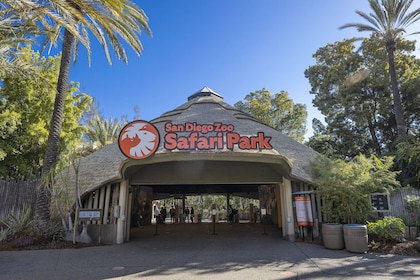Safari Park du zoo de San Diego 