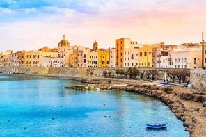 Private Transfer Trapani or San Vito lo Capo to Palermo Airport Luxury Car ...