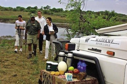3night-4days Madikwe River Lodge-Madikwe Game Reserve from Johannesburg Pre...